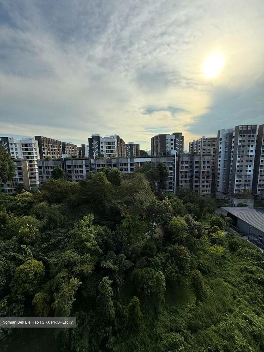 Blk 212D Woodleigh Hillside (Toa Payoh), HDB 4 Rooms #535826181